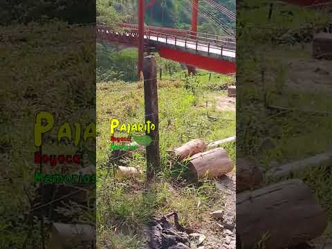 Maquinaria extra dimensionada sobre el puente de Labranzagrande (Boy) (febrero 12/2026)