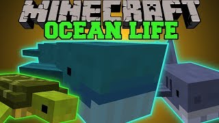 Minecraft: OCEAN LIFE (NEW OCEAN MOBS, CREATE YOUR OWN AQUARIUM!) Mod Showcase