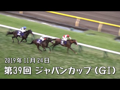 【レース映像】第39回 ジャパンカップ（ＧⅠ）勝ち馬スワーヴリチャード 2019年11月24日【美駒駿兎/競馬専門紙・優馬】