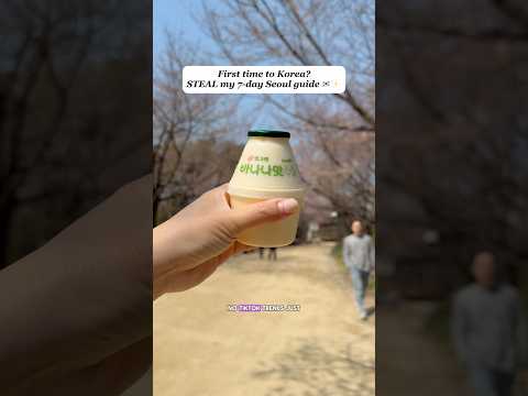 🚨Planning a Seoul trip? DONT BOOK ANYTHING until you see this 7 day local approved itinerary 👌💕