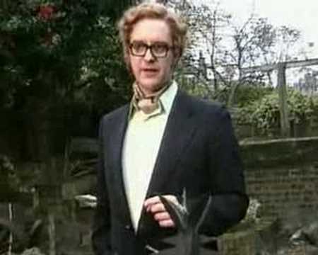 joes peci stella street mulch fuck