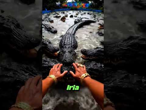 20 MILHÕES DE REAIS PARA ESCORREGAR EM UM DESSES TOBOGÃS! QUAL VC ESCOLHERIA ?