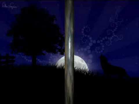 O Lobo video
