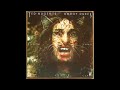Ted Nugent's Amboy Dukes - Maybellene