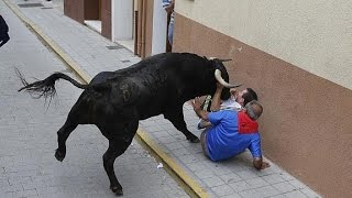 Muerte por Cogida de Toro en Peñafiel