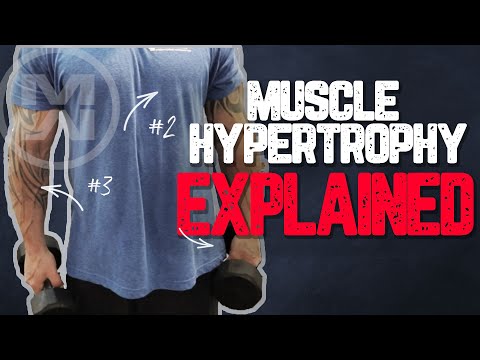 Muscle Hypertrophy Explained (How to get MASSIVE Gains)