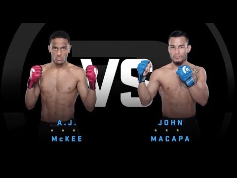 Bellator 205: Fight Highlights