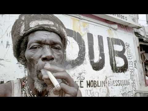 Dubwise Paradise: Roots & Steppa Compilation Vol. 8