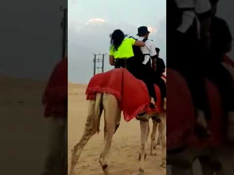 Dubai desert tour | Camel riding
