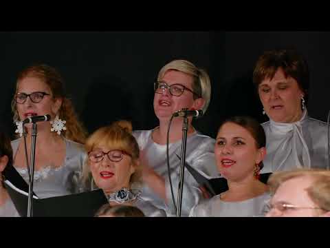 HAIL HOLY QUEEN - Vokalni ansambl Samoborke