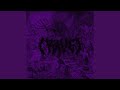 RAVE Slowed
