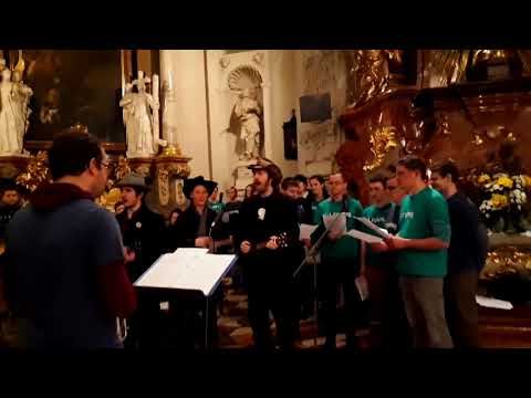 Dobrá zpráva je na cestě aneb druhé CD scholy RYTMIG!