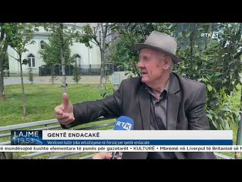 Vendosen katër pika vetushqyese në Ferizaj për qentë endacakë