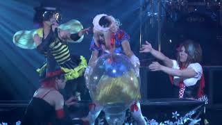 マイドラゴン (My Dragon) Mini live 2013