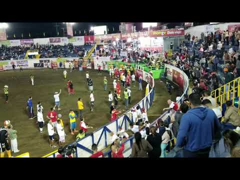 Bull Double Flips Man Over Wall In Costa Rica!