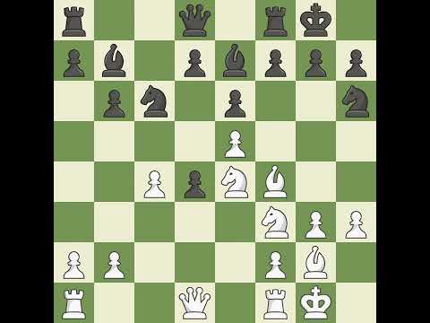 Polak Tomas (CZE) VS Pisk Petr (CZE)