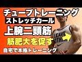 チューブトレーニング 腕(上腕二頭筋) 腕を太くしたいならこの種目追加で!