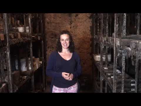 Online-Weinprobe Nr. 2 Raritäten