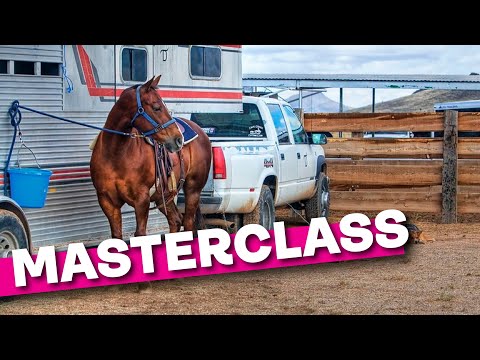 Masterclass: Transporting Horses