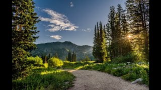 Musica para Relaxar com sons da Natureza