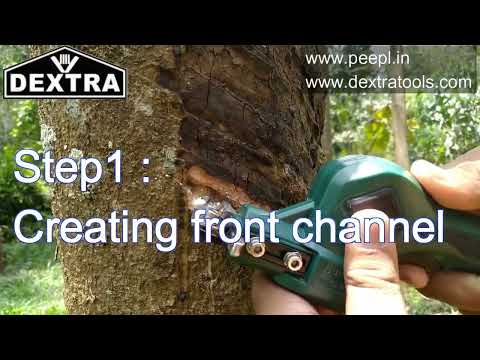Motorized Rubber Tapping Machine Demonstration