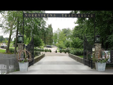 Norrvikens trädgårdar i Båstad 3 juni 2024.