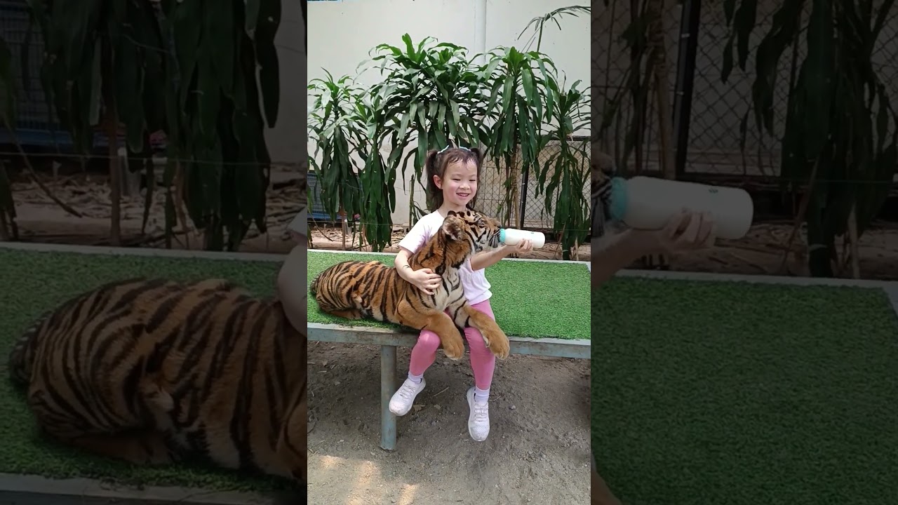 YouTube Short thumbnail