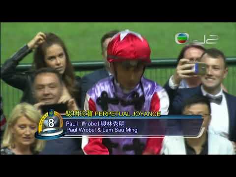 2016/17 (567) - Perpetual Joyance (駿明珍寶) - 田泰安 (態勇檔靚沿途一步不蝕終點前趕過你知我心贏馬)