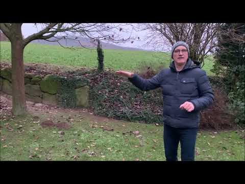 Maulwurf Vertreiben im Winter