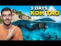 The ONLY Koh Tao Itinerary You Will EVER Need!