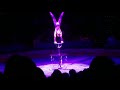 Big Apple Circus 2019 Balancing Act