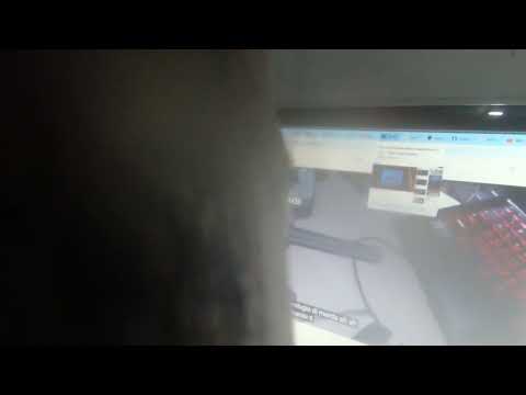 Son of the Mask + King delle Bestemmie 9.2 (January 8)