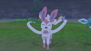 ポケモンシールド 手持ちのポケモンでポケモンキャンプ