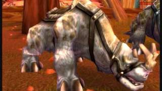 Let's Sing- The Great Kodo