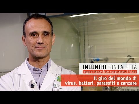 Fare prove su vermi Zaporizhia Quale medicina per vermi la persona ha bisogno di prendere