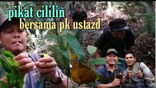 Download lagu cara memikat cililin dialam liar part.6 mp3