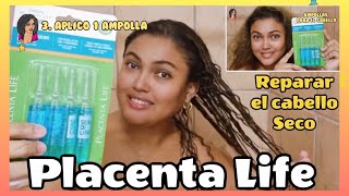 Cómo reparar el cabello seco cabello  dañado en 5 minutos con Placenta life ampolla semi di lino