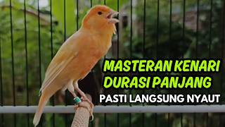 Download lagu MASTERAN KENARI GACOR NGEROL PANJANG COCOK UNTUK PANCINGAN Kenari Paud AGAR cepat GACOR mp3
