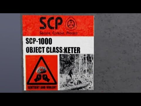 SCP 1000