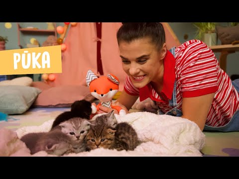 TUTAS LIETAS | Pūka