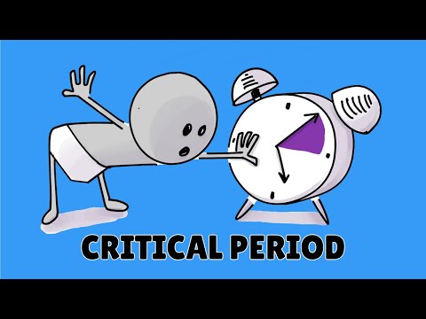 5 Developmental Windows That Shape Your Life Forever