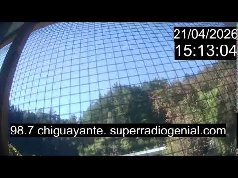 Chiguayante Bio Bio Chile, en Vivo. Live Cam, Camara en vivo.