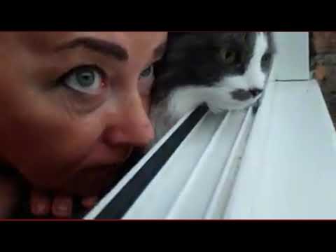 Life with a sweetest cat