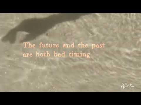 Animal - Official Lyric Video