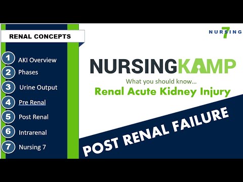 POST RENAL FAILURE Nursing KAMP 2020 Acute Kidney Injury