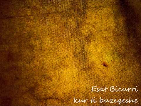 Esat Bicurri - Kur ti buzeqeshe
