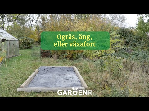 Täck bort ogräs, skapa en äng och få träden att växa fort - Trädgårdshacks med GardenR