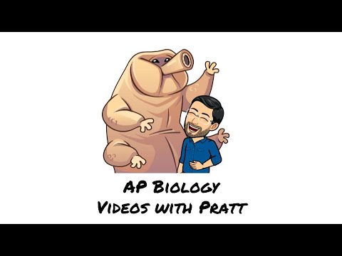 Measuring Gene Expression