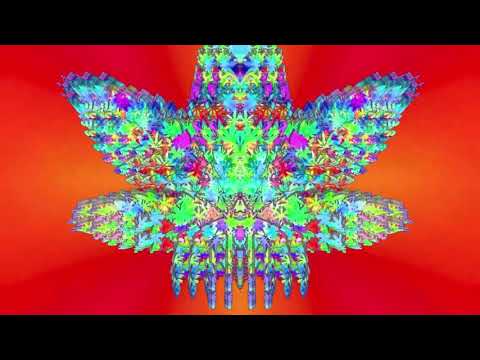 GRiZ - Supadukakulavibe