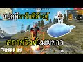 ฟีฟาย